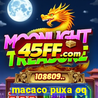 macaco puxa oq